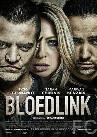 Смотреть онлайн Предательство / Bloedlink (2014)