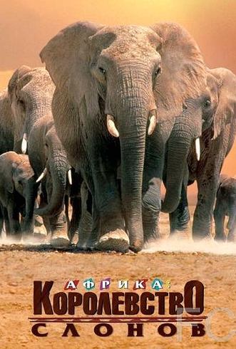 Смотреть онлайн Африка – королевство слонов / Africa's Elephant Kingdom (1998)