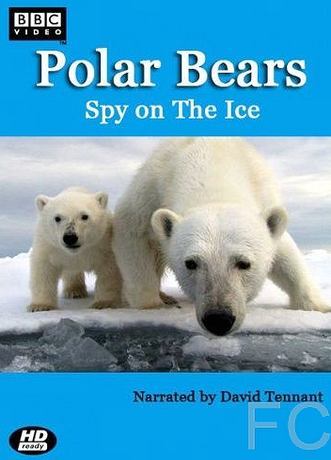 Смотреть Белый медведь: Шпион во льдах / Polar Bears: Spy on the Ice (2011) онлайн на русском - трейлер