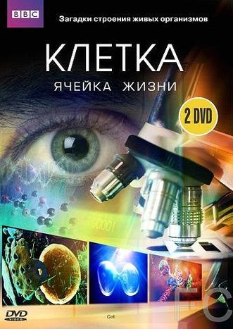 BBC: Клетка / The Cell (2009)
