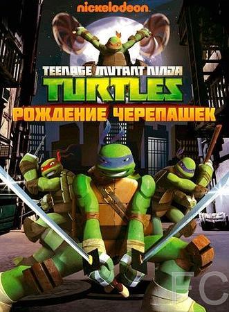 Черепашки-ниндзя / Teenage Mutant Ninja Turtles (2012)