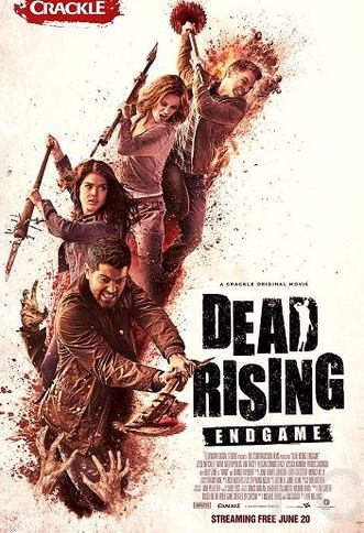Восставшие мертвецы: конец игры / Dead Rising: Endgame (2016)