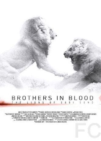 Смотреть онлайн Прирожденные короли / Brothers in Blood: The Lions of Sabi Sand 