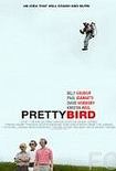 Смотреть онлайн Пташка / Pretty Bird (2008)