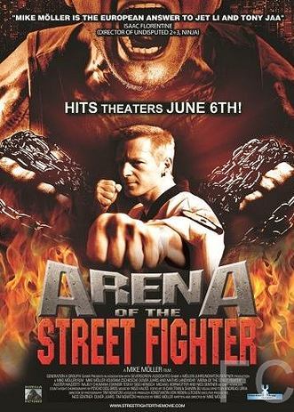 Смотреть онлайн Уличный боец / Arena of the Street Fighter (2012)