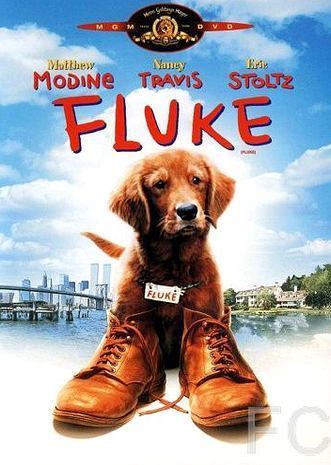 Смотреть Флюк / Fluke (1995) онлайн на русском - трейлер
