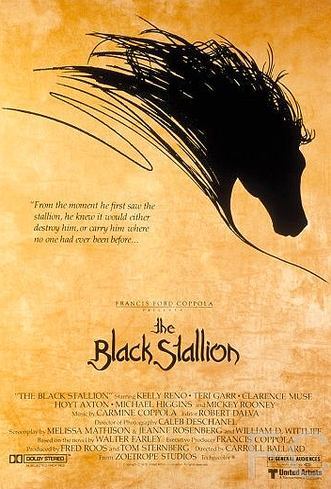 Смотреть онлайн Черный скакун / The Black Stallion (1979)