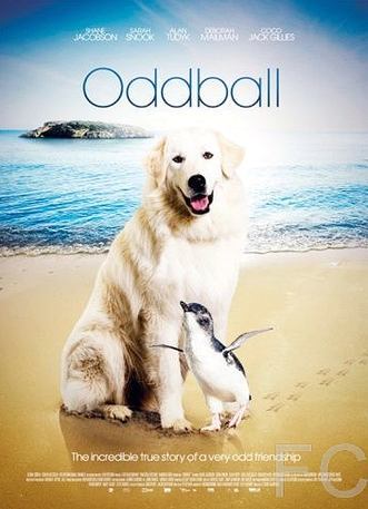 Смотреть Чудак / Oddball (2015) онлайн на русском - трейлер
